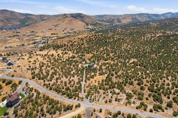 Expansive land parcel featuring natural desert flora, a private driveway, and surrounding mountainous terrain