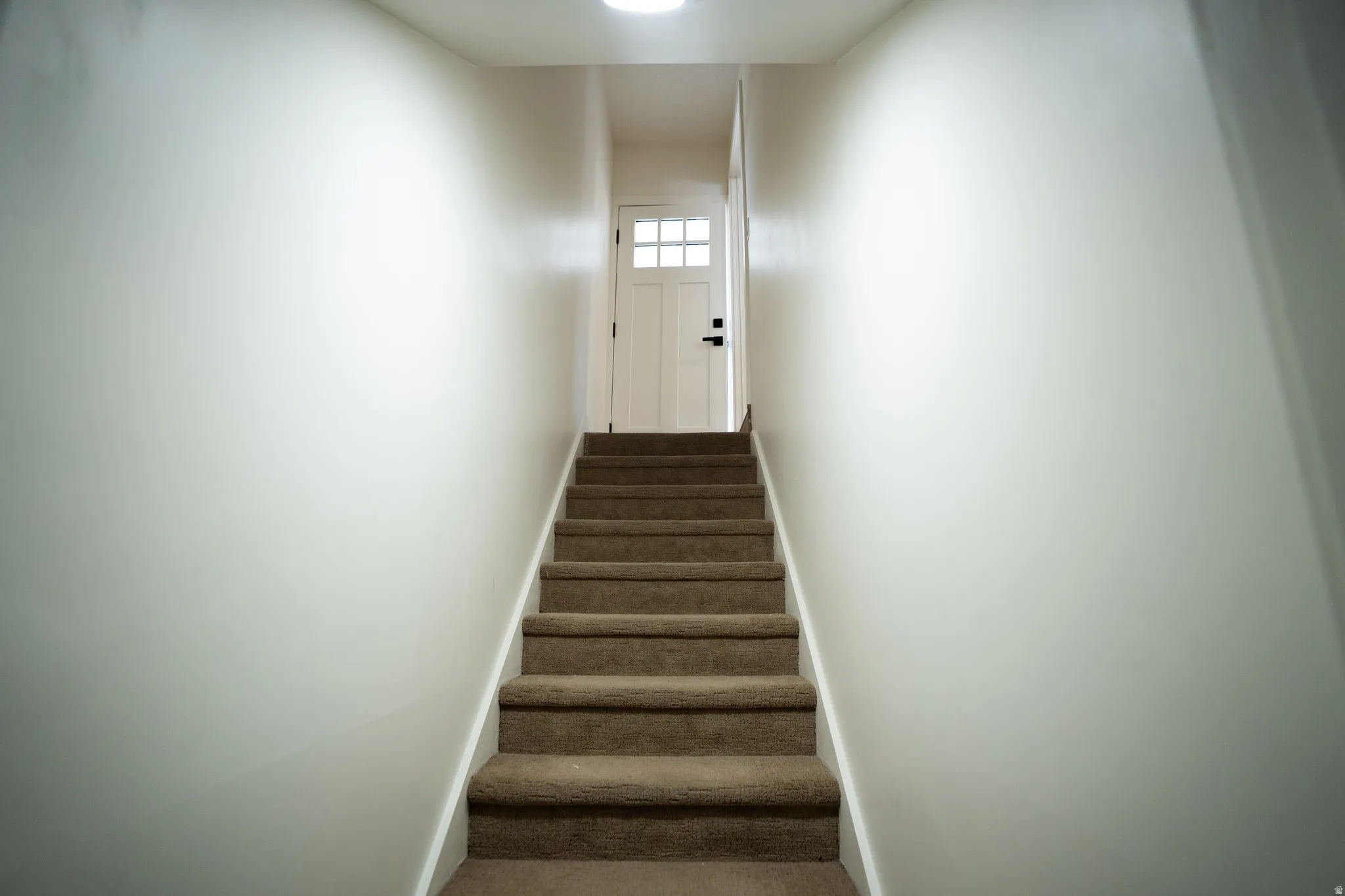 Carpeted staircase with white risers and a white door featuring multi-pane glass
