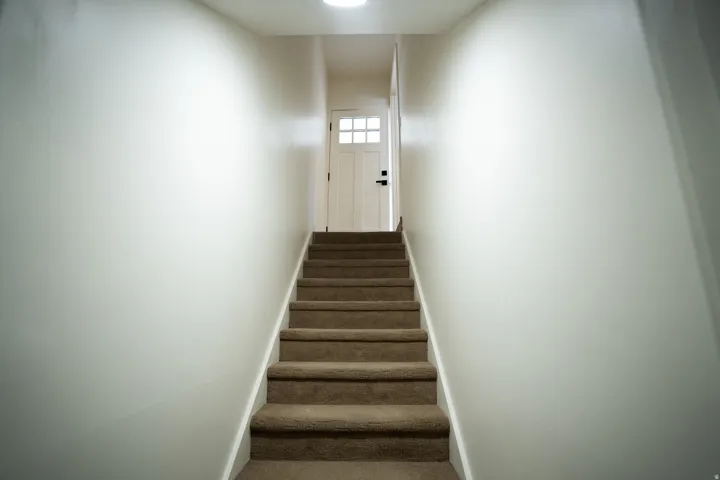 Carpeted staircase with white risers and a white door featuring multi-pane glass
