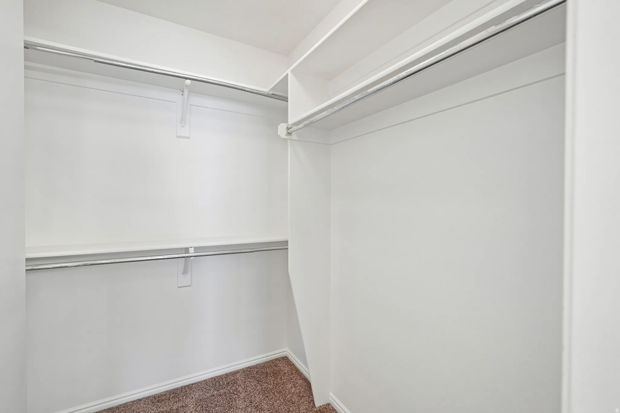 Walk-in closet featuring white painted walls, white built-in shelving, chrome hanging rods, and brown carpet flooring
