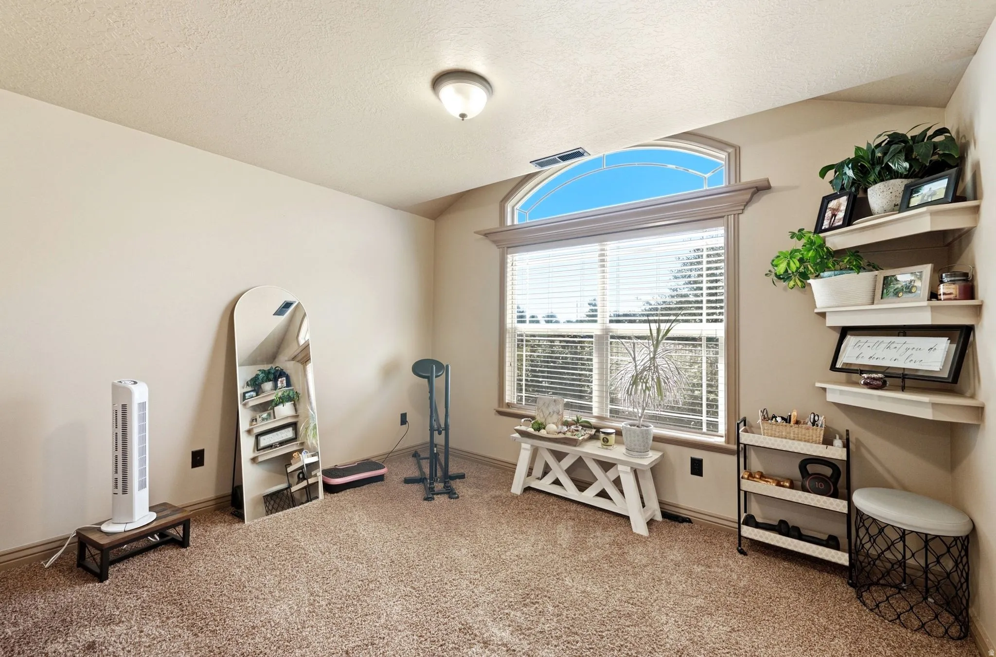 Room with light-colored walls and textured carpeting