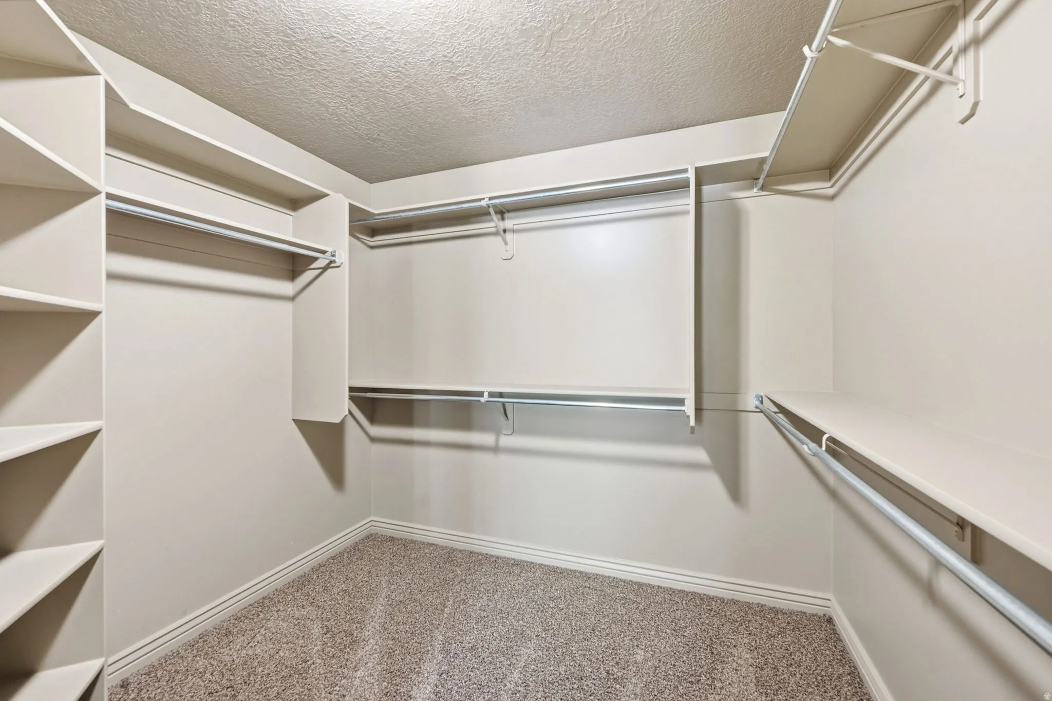 Walk-in closet featuring extensive built-in shelving, multiple hanging rods, and neutral-toned carpeting