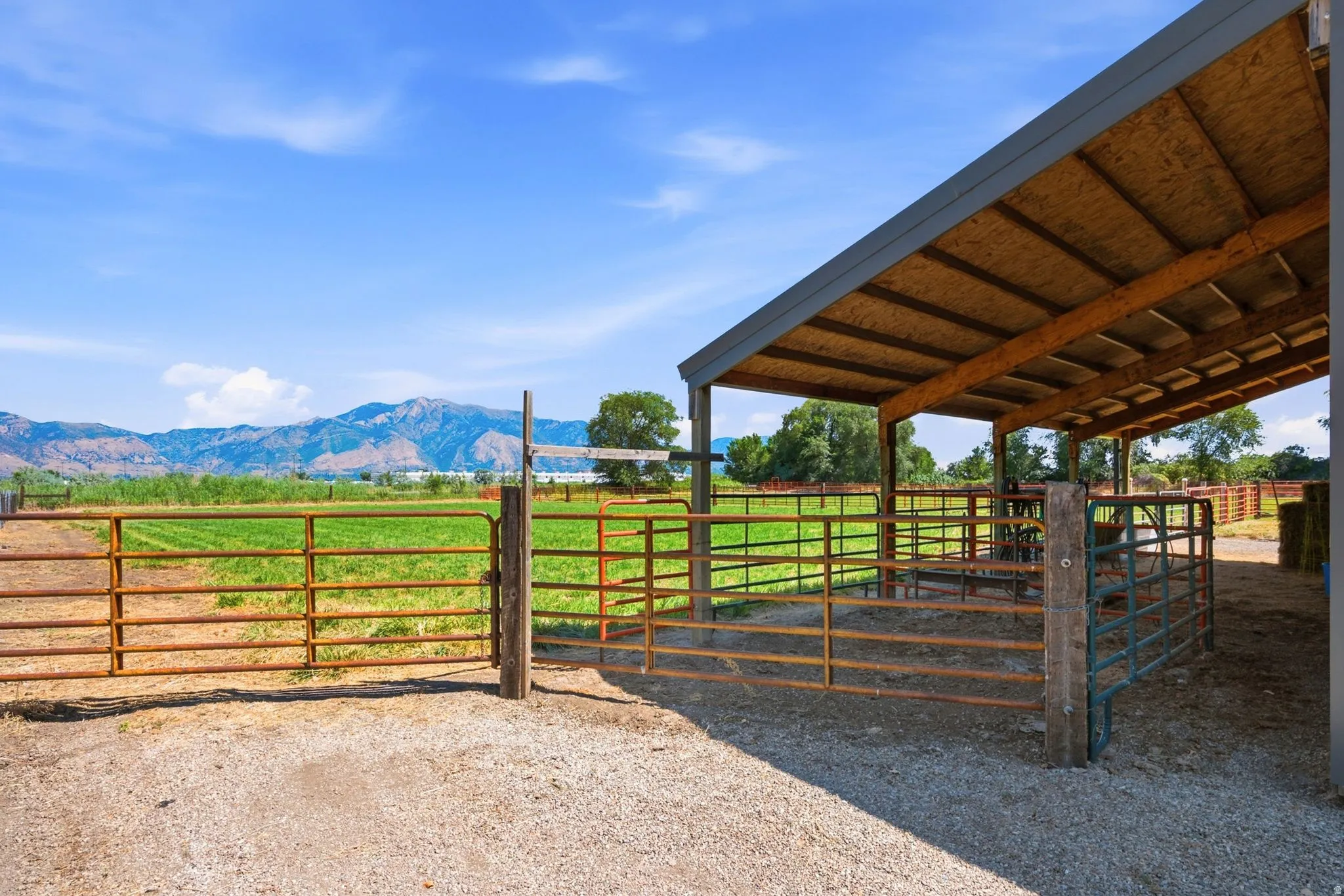 Covered outdoor structure featuring an exposed wood-finish ceiling, metal roofing, and multiple fenced enclosures