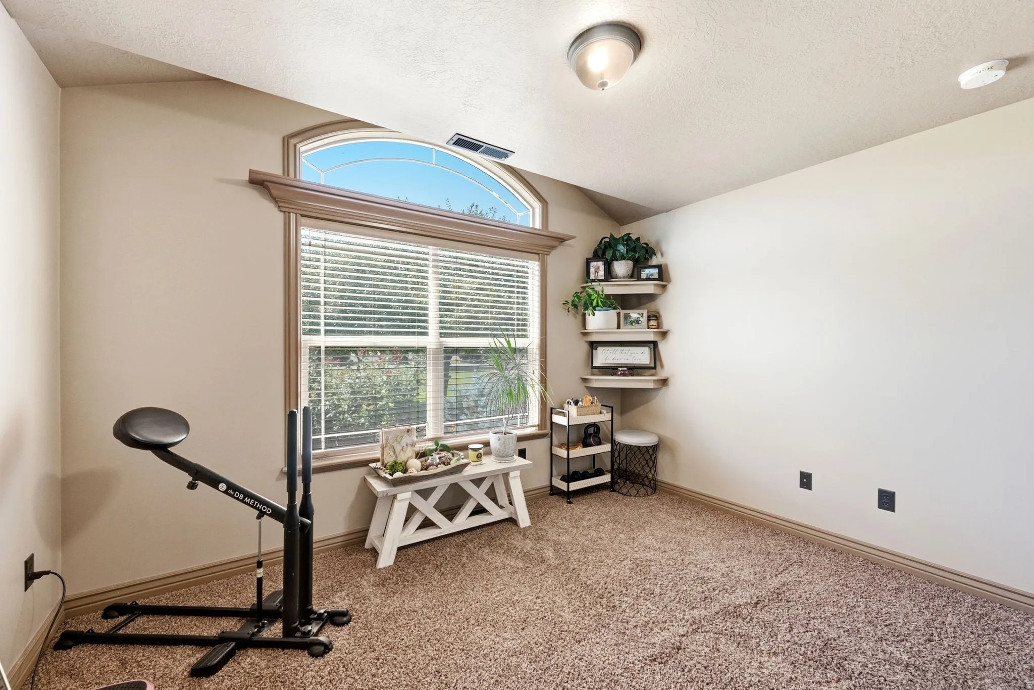 Attic space featuring a large window with an arched transom, horizontal blinds, and wood-finish trim