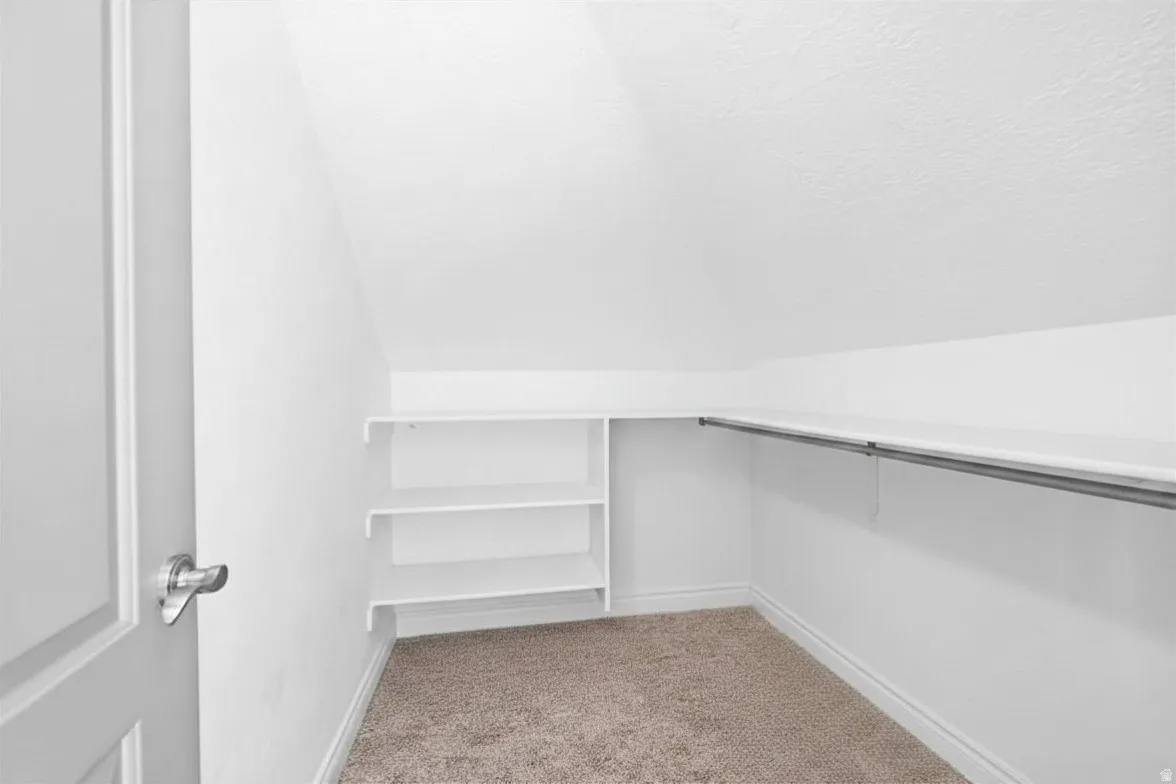 Carpeted closet with built-in shelving and hanging rod