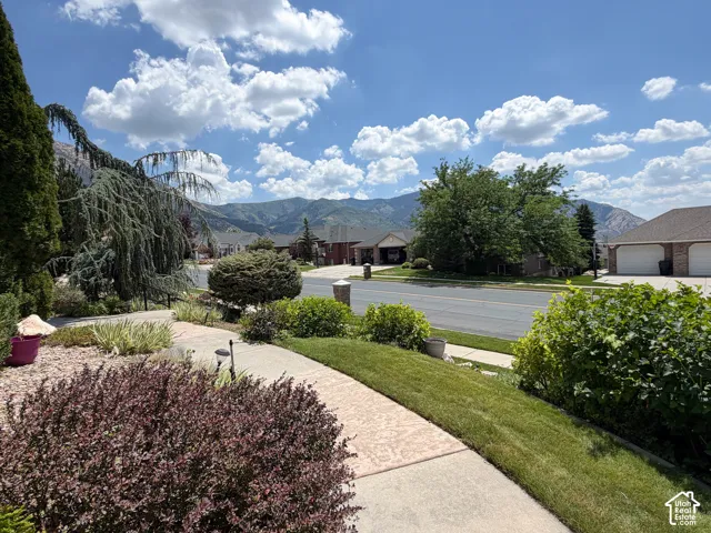 Front lawn with sidewalk