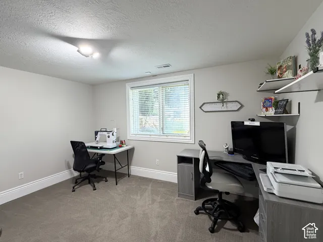 Basement bedroom with natural light