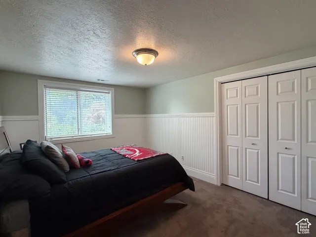Basement bedroom with batten board