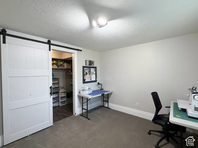 Bedroom with barn closet door