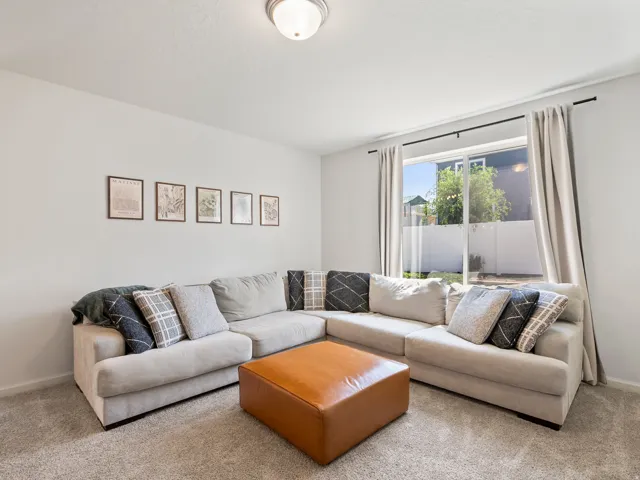 Carpeted living area featuring a large window with light-colored drapes, white walls, and a ceiling-mounted light fixture