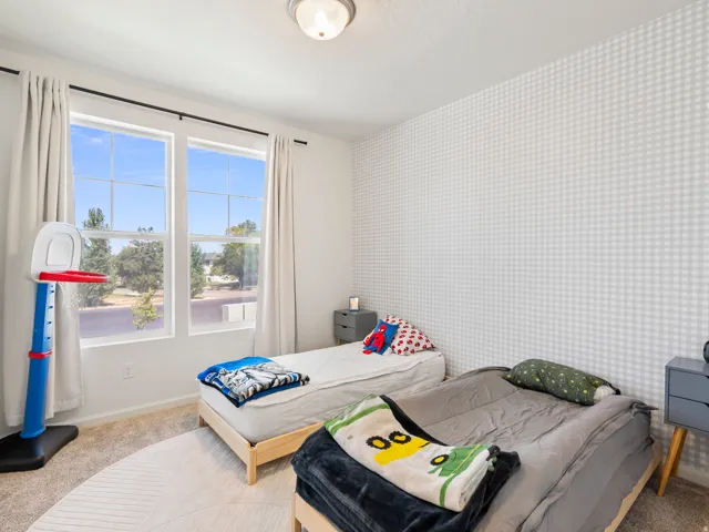 Dual pane windows with white trim, light-toned carpeting, and a patterned accent wall