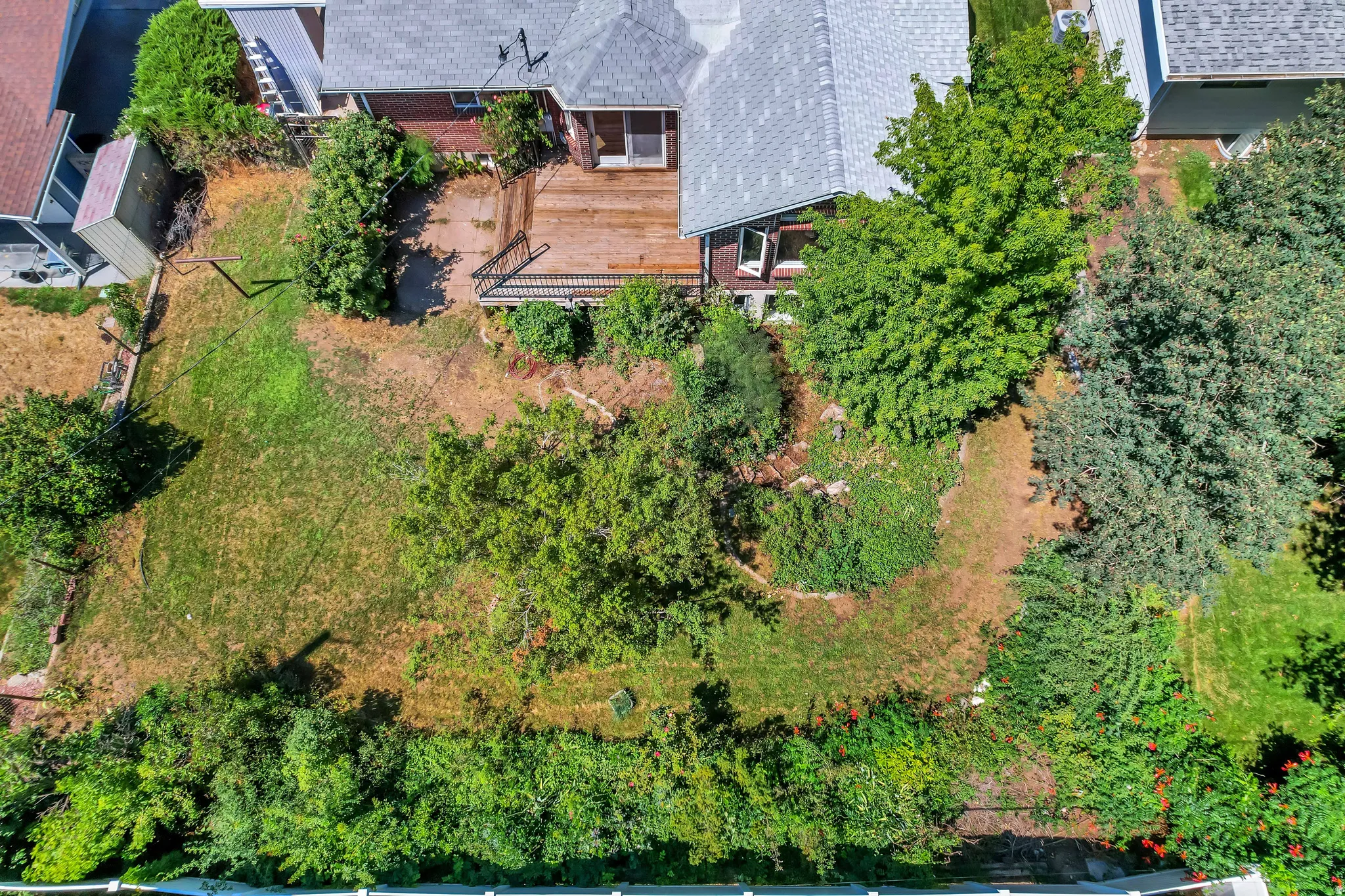 Expansive backyard featuring a multi-level wood-finish deck, mature trees, and a storage shed