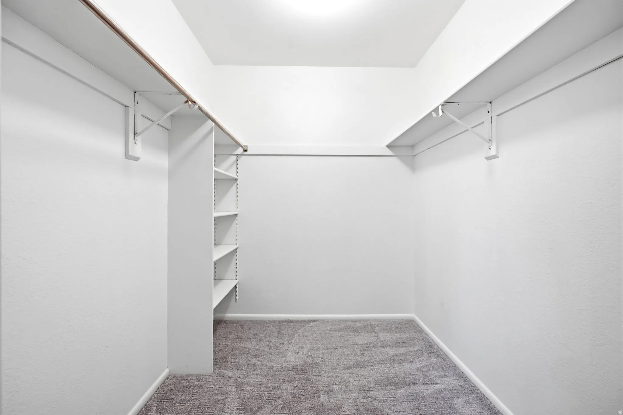 Walk-in closet featuring built-in shelving, hanging rods, light gray carpet, and white walls