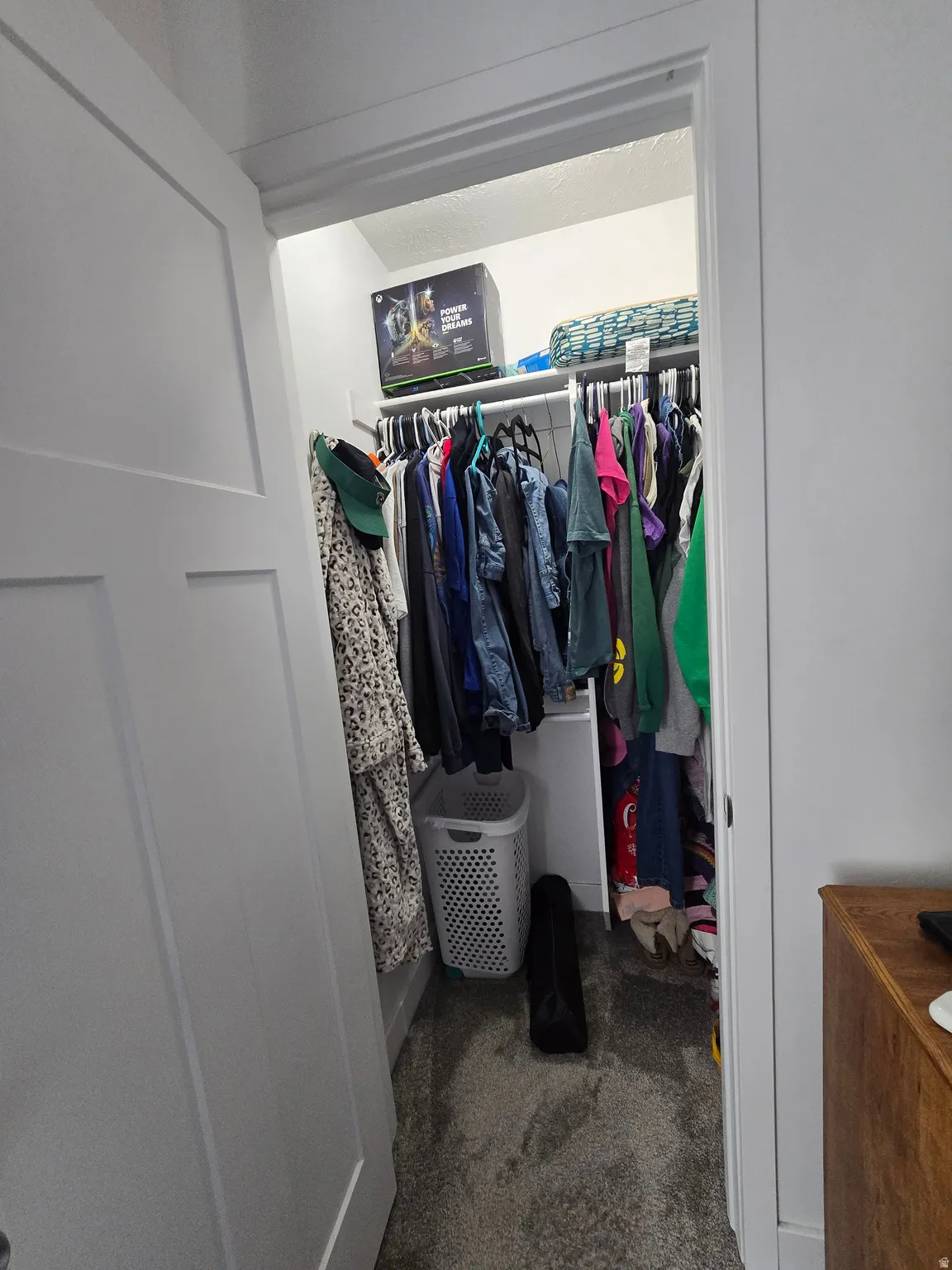 Walk-in closet featuring carpeted flooring and white walls