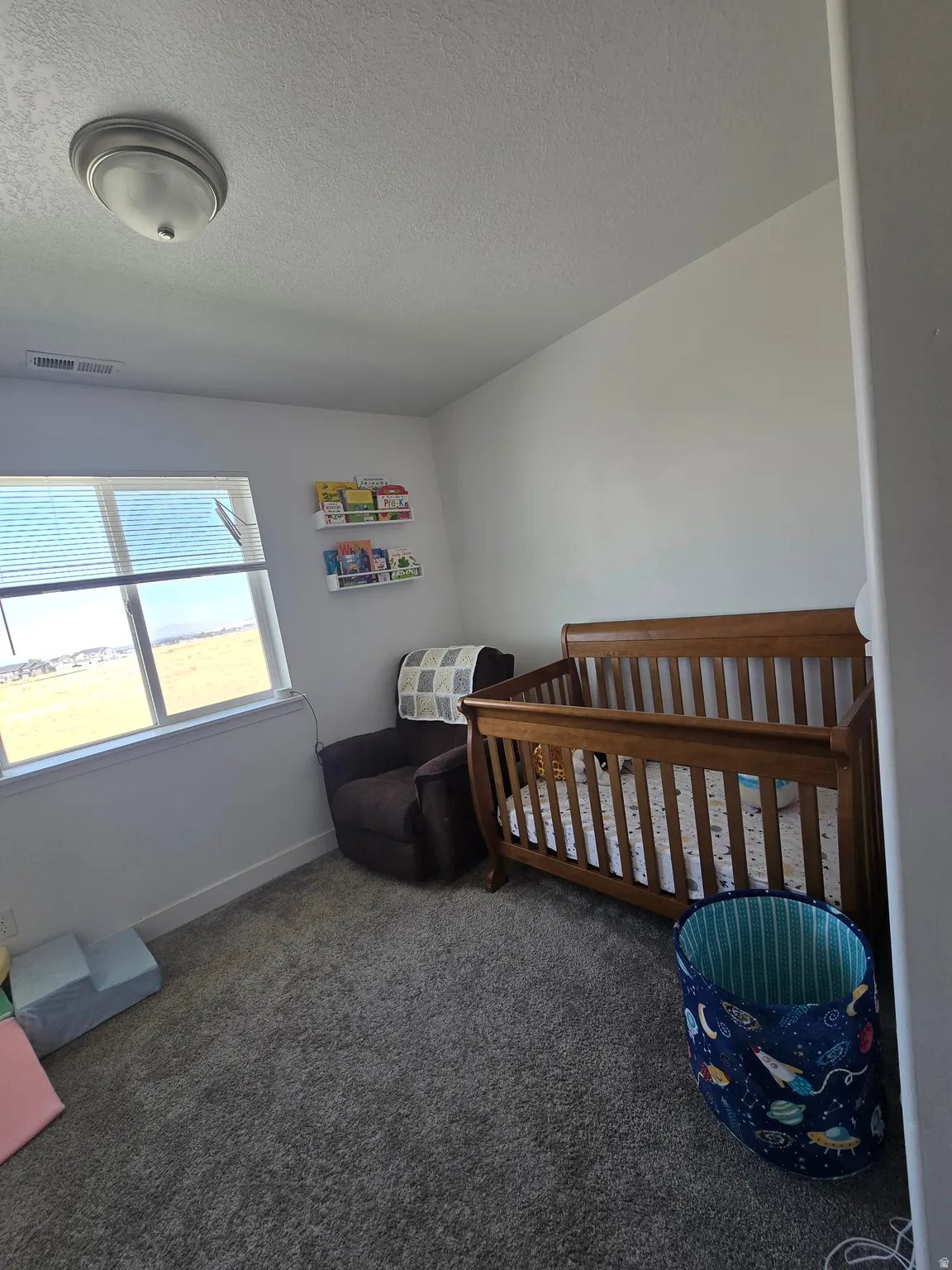 Carpeted room featuring a large window with horizontal blinds, built-in wall shelving, a flush-mount ceiling light fixture, and white painted walls