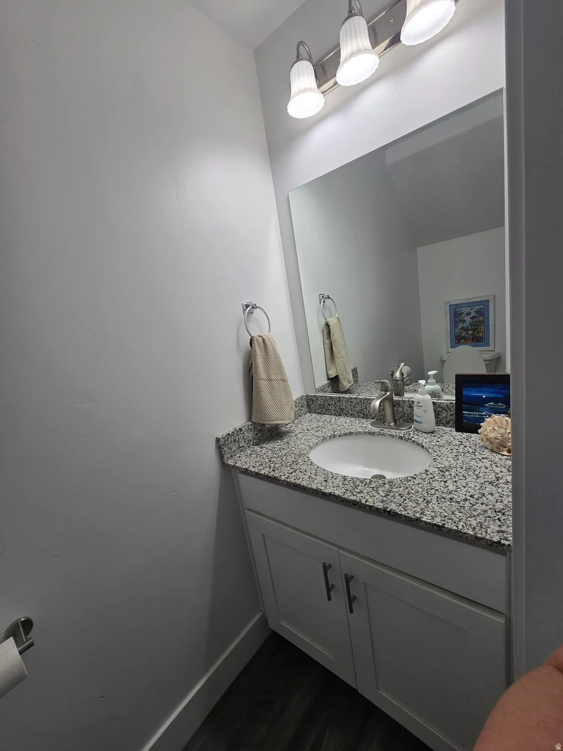 Bathroom vanity featuring a granite countertop with an undermount sink, brushed nickel faucet, and a large wall-mounted mirror