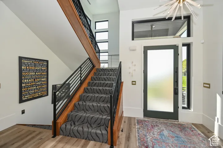 Modern entryway featuring a dark-framed frosted glass entry door, wood-finish flooring, and a contemporary light fixture