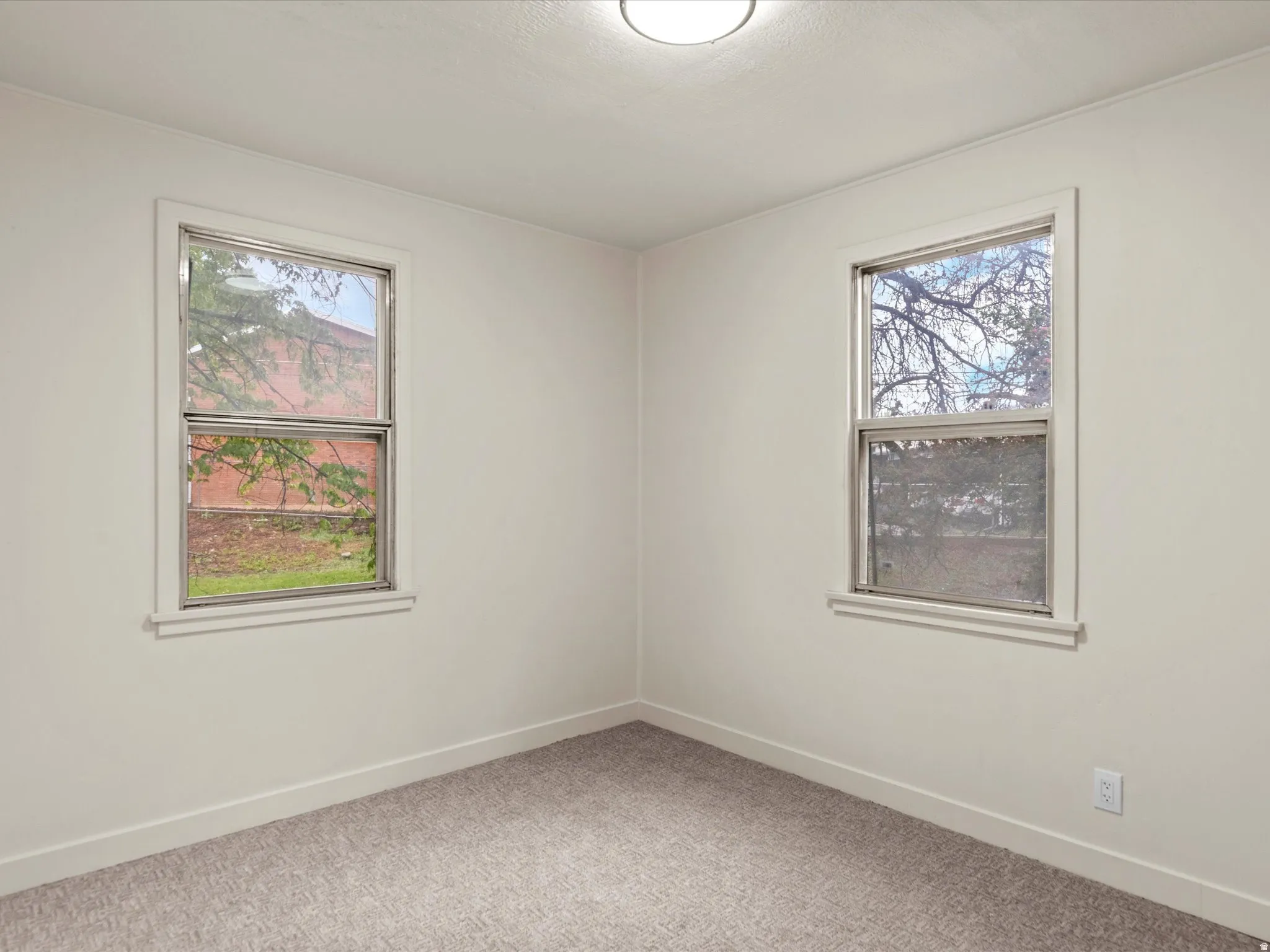 Bright room featuring two windows with white trim, light neutral-toned walls, and grey carpet flooring