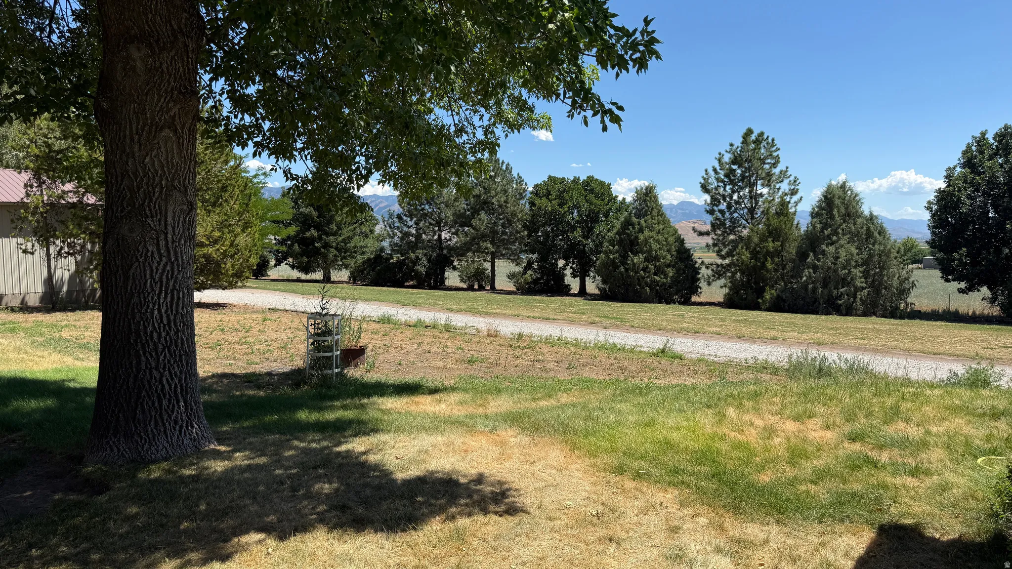 Expansive outdoor space featuring a gravel driveway, mature trees, and mountainous terrain in the background