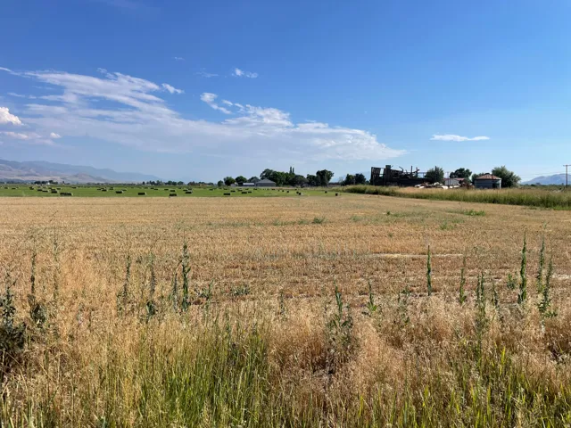 Expansive golden field with distant green fields, mountains, and scattered farm structures under a clear blue sky