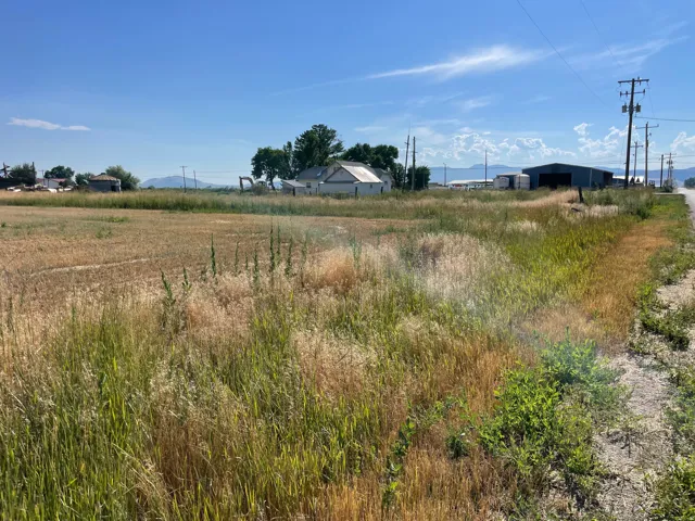 Expansive open land featuring a mix of mature and dry grasses, bordered by a clear blue sky