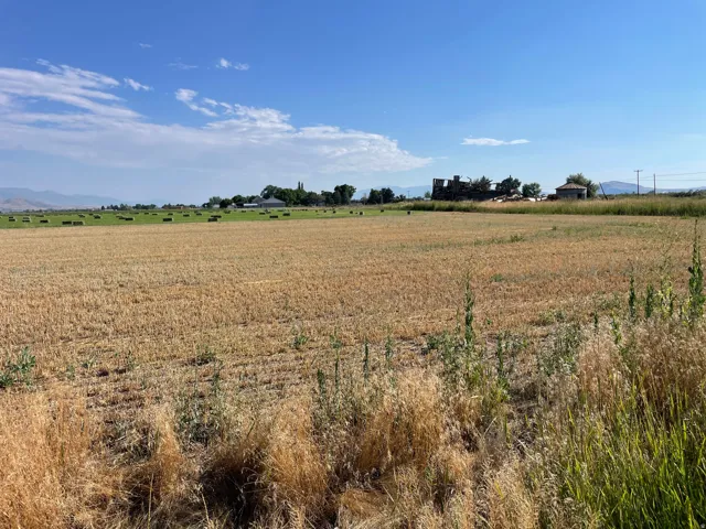 Expansive agricultural acreage featuring a harvested field and distant green fields with hay bales