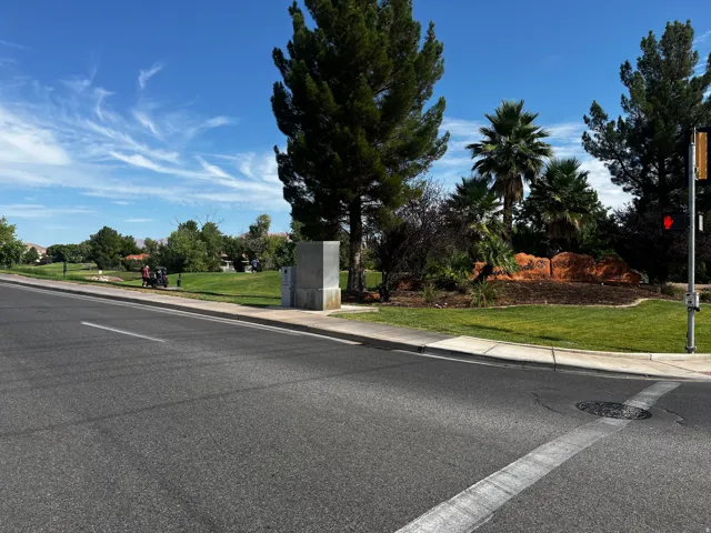 Expansive green space featuring manicured lawns, mature trees, and a variety of palm trees