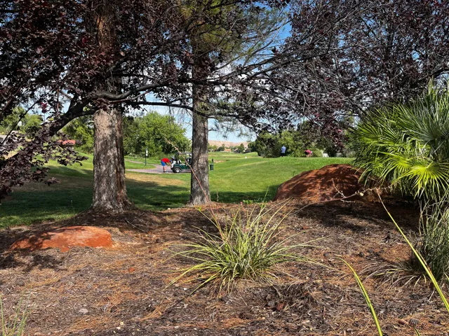 Manicured golf course backdrop featuring mature trees and verdant landscaping