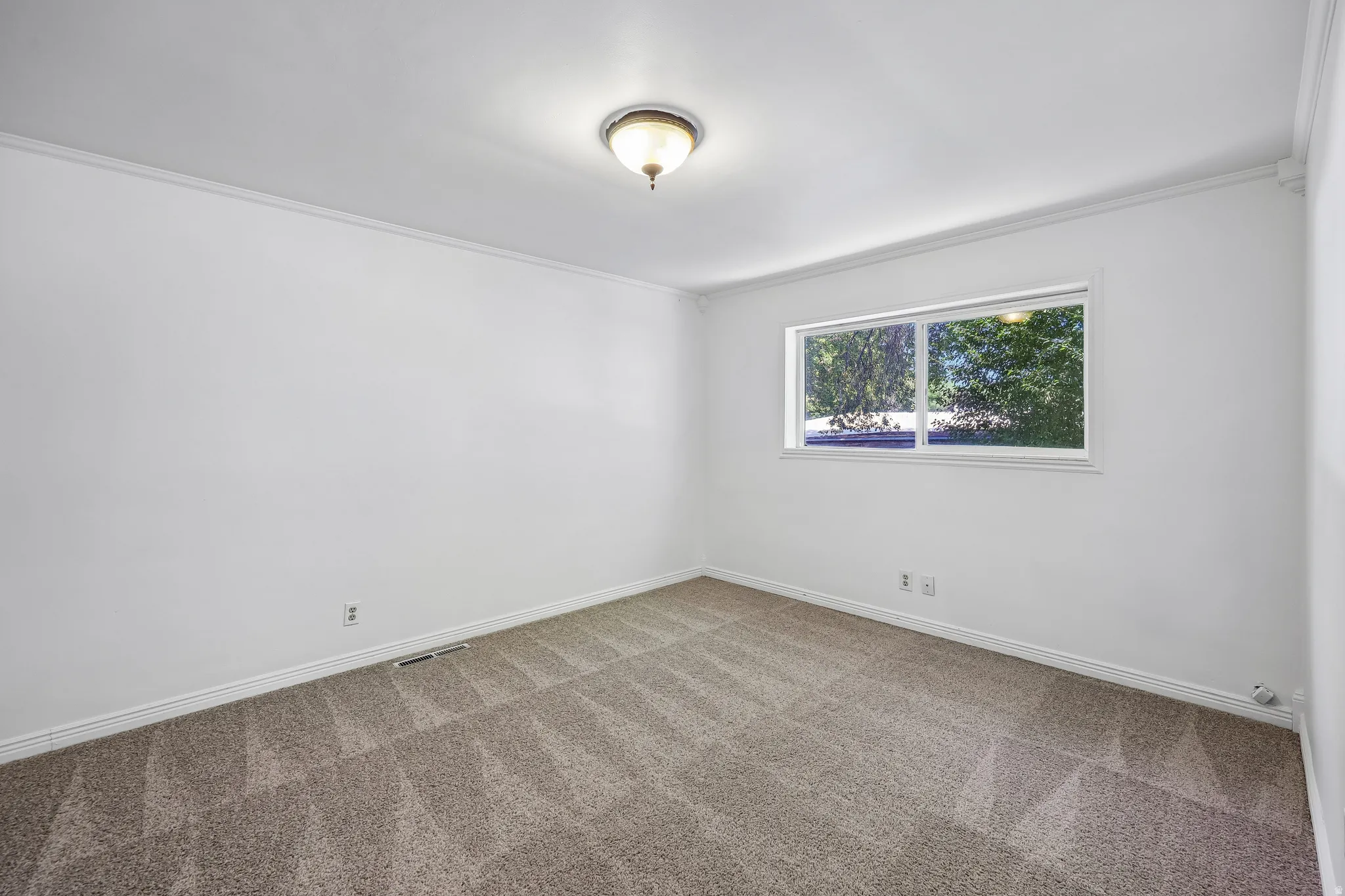 Bright interior space featuring light-colored walls and patterned carpeting
