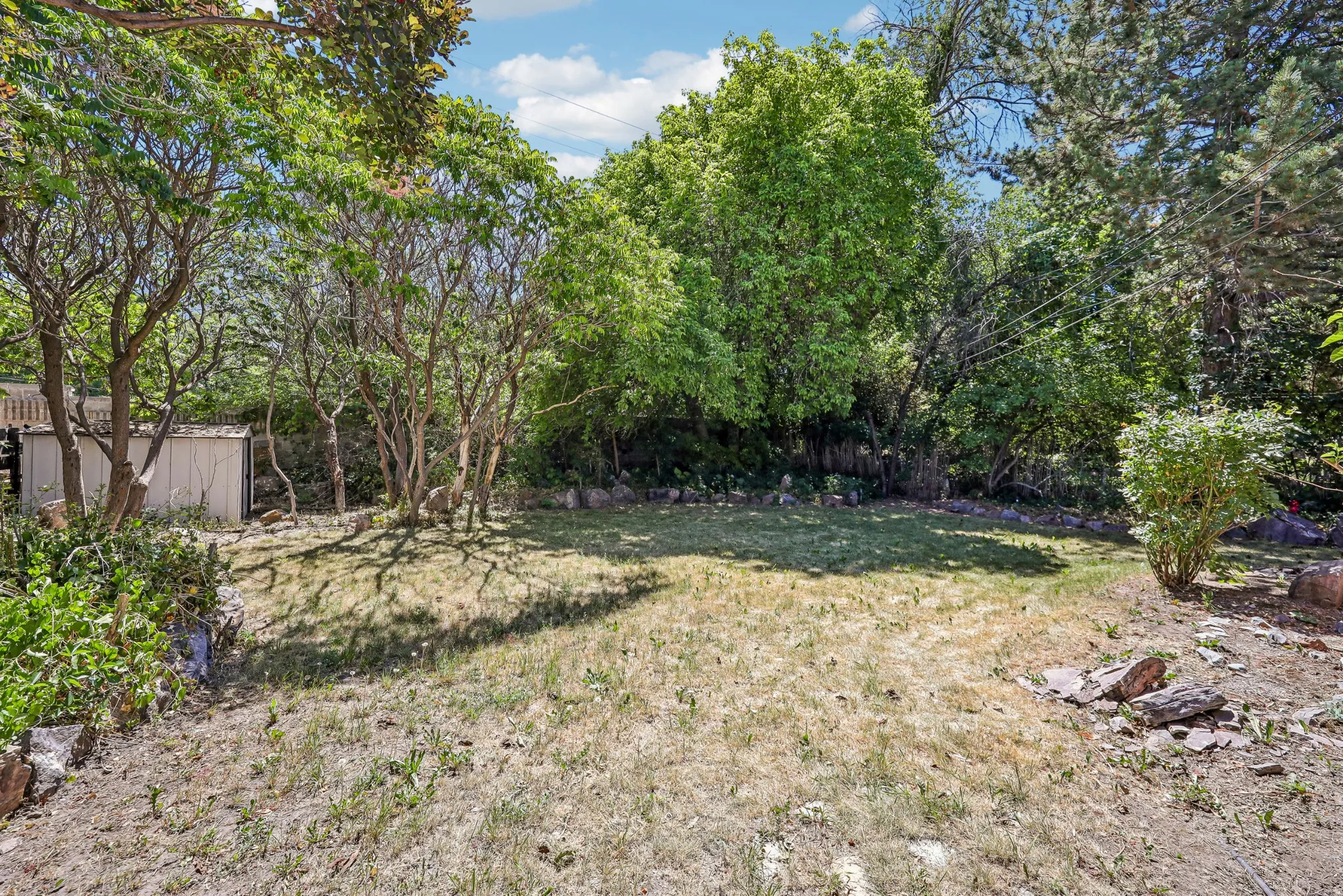 Spacious backyard featuring a grass lawn, mature trees, and natural rock accents