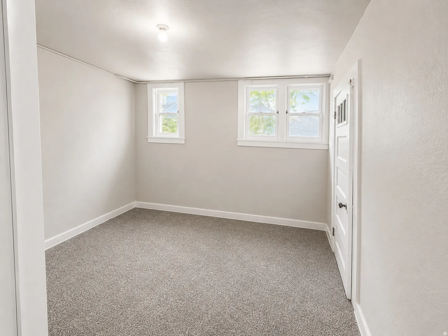 Light gray carpeting, two sash windows, overhead ceiling light fixture, white trim, and a paneled interior door