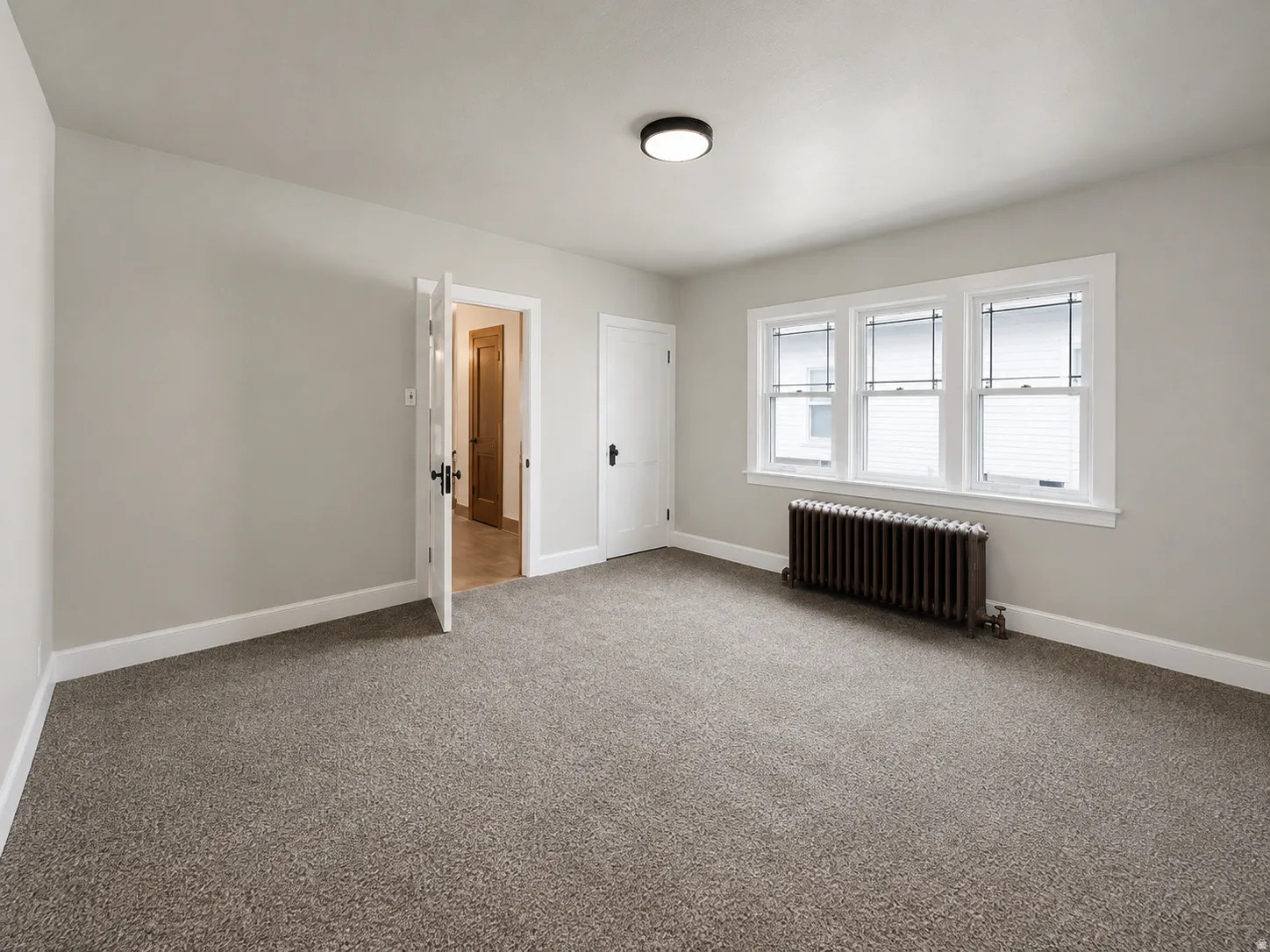 Neutral wall paint, carpet flooring, triple pane windows, and a flush mount ceiling light