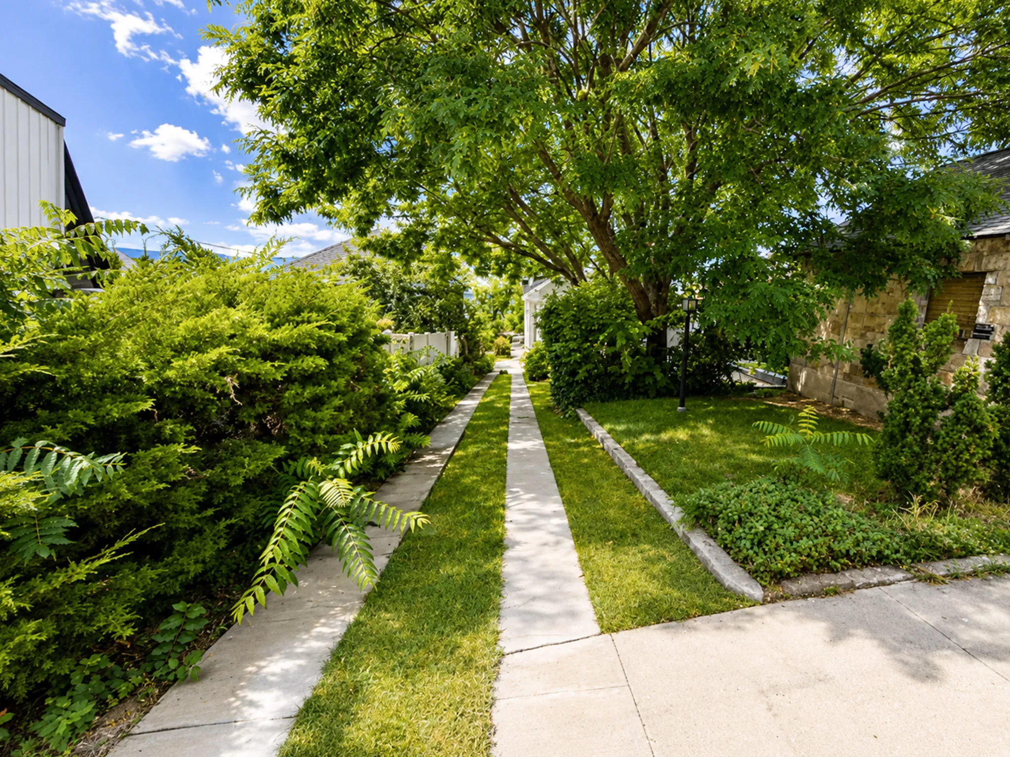 Paved driveway with grass accents, mature trees, and established perimeter landscaping