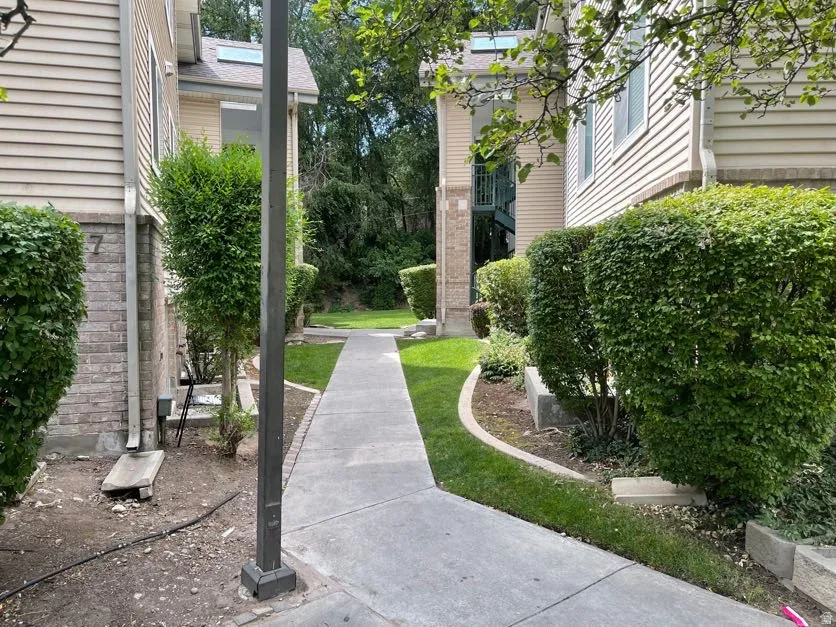 Concrete pathway flanked by manicured green shrubs and planted landscaping
