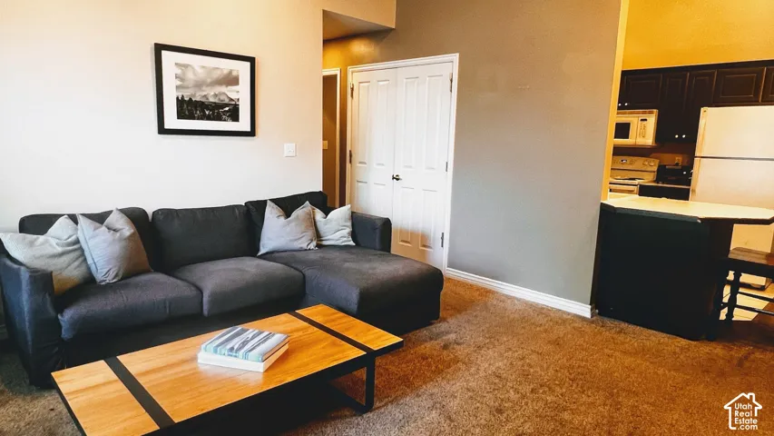 Living area featuring plush carpeting and a neutral color palette