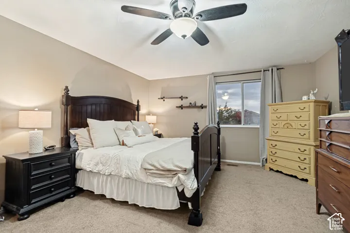 Carpeted room with a ceiling fan, a window with curtains, and wall-mounted shelving