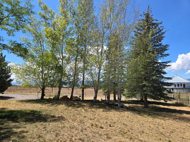 Mature trees and a partially visible round structure in the background