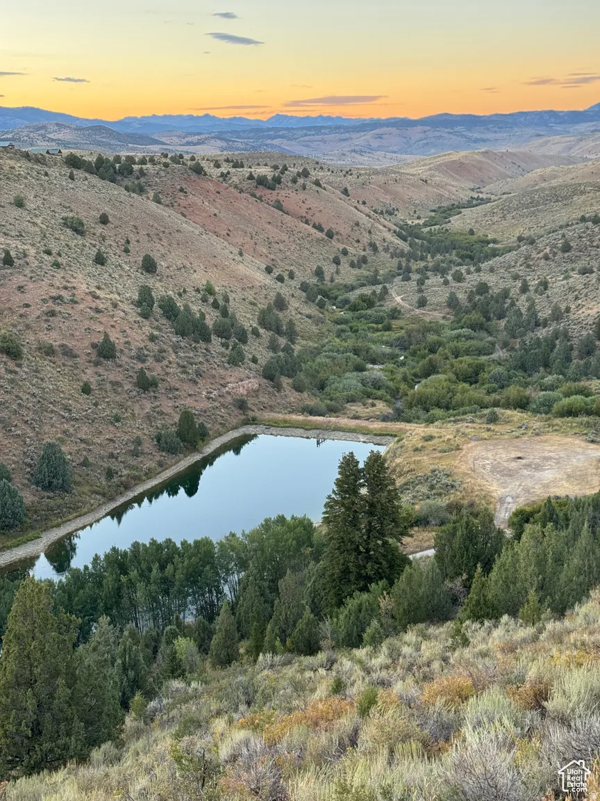 Expansive natural landscape featuring a prominent body of water, rolling hills, and abundant mature trees