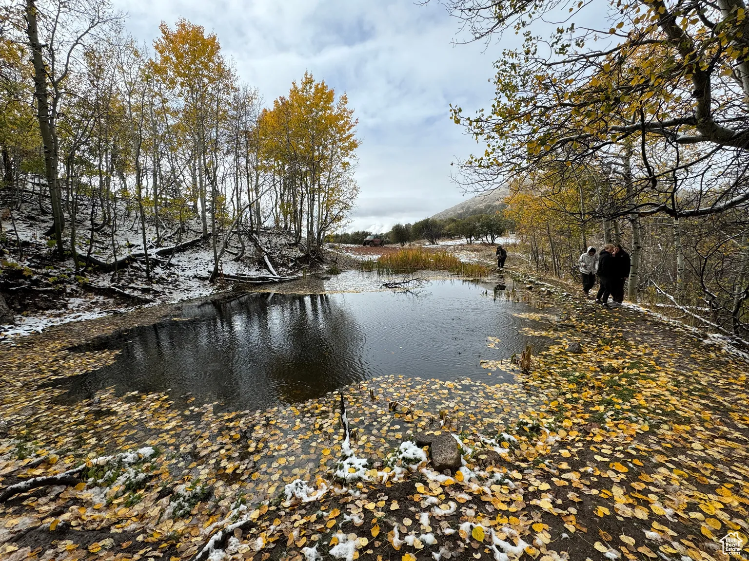 Pond with natural banks and surrounding deciduous trees featuring autumn foliage