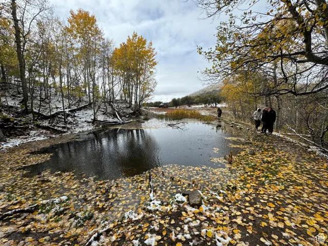 Pond with natural banks and surrounding deciduous trees featuring autumn foliage