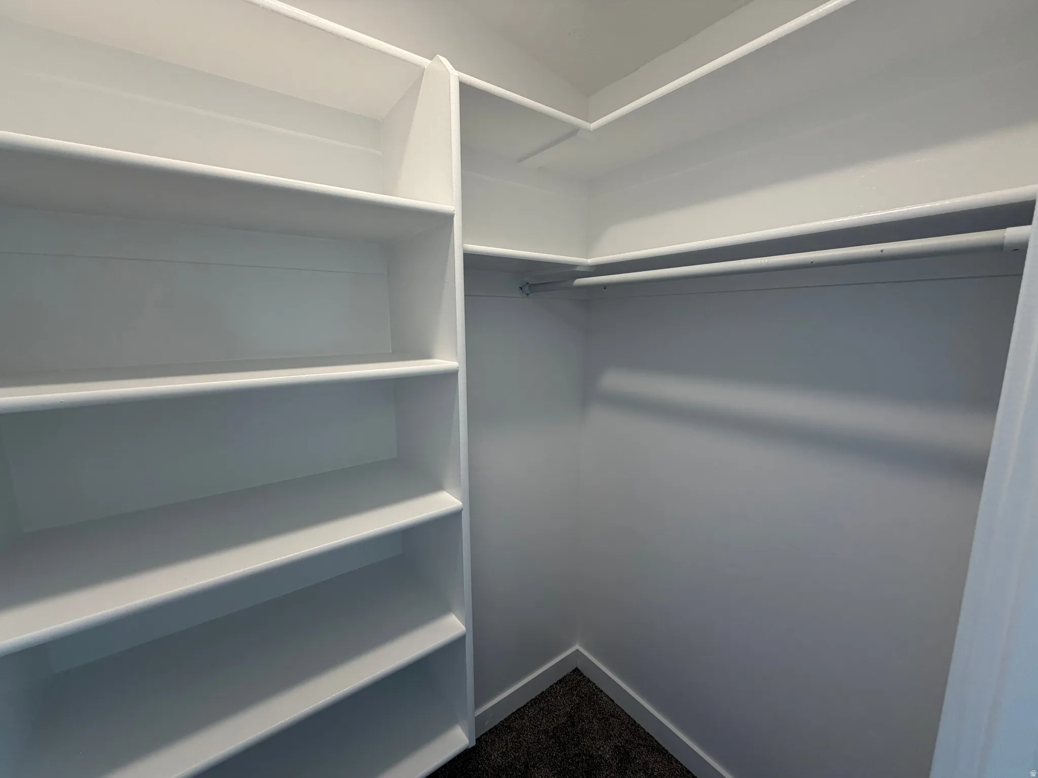 Closet interior featuring built-in shelving, white walls, dark carpeting, and a clothing rod
