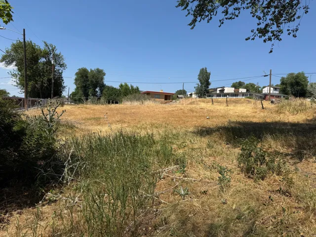 Lot view
