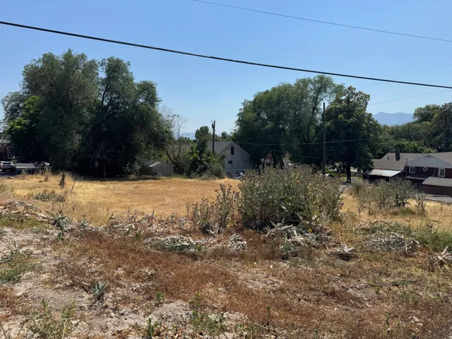 Expansive lot featuring a cleared central area, mature perimeter trees, and mountain scenery in the distance