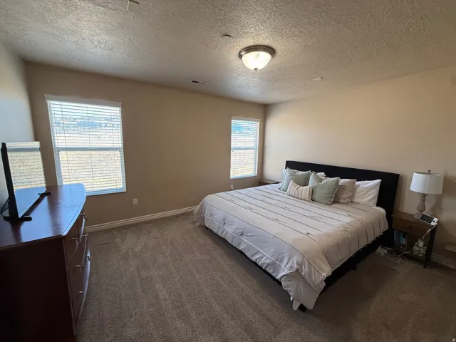 Carpeted bedroom featuring two windows with horizontal blinds, a ceiling-mounted light fixture, and neutral-toned walls