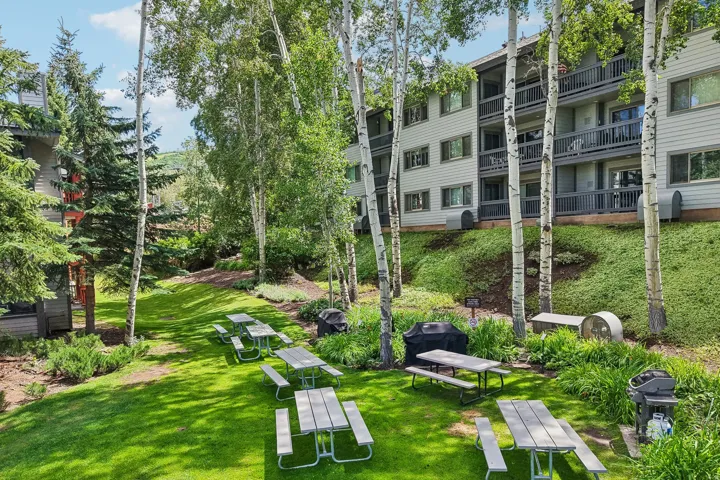 Expansive grassy outdoor area featuring multiple picnic tables and barbecue grills set among mature trees