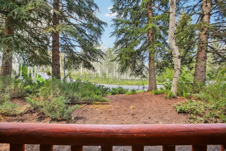 Wood-finish railing framing an exterior setting with mature evergreen trees, a prominent birch tree, and ground cover