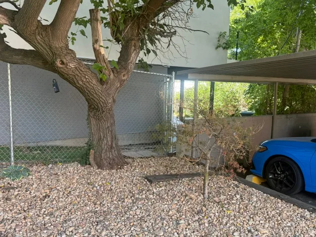 Gravel ground cover with mature tree and chain link fencing