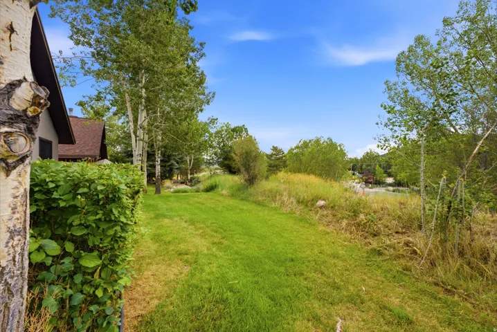 Expansive grassy area featuring mature trees and a manicured hedge