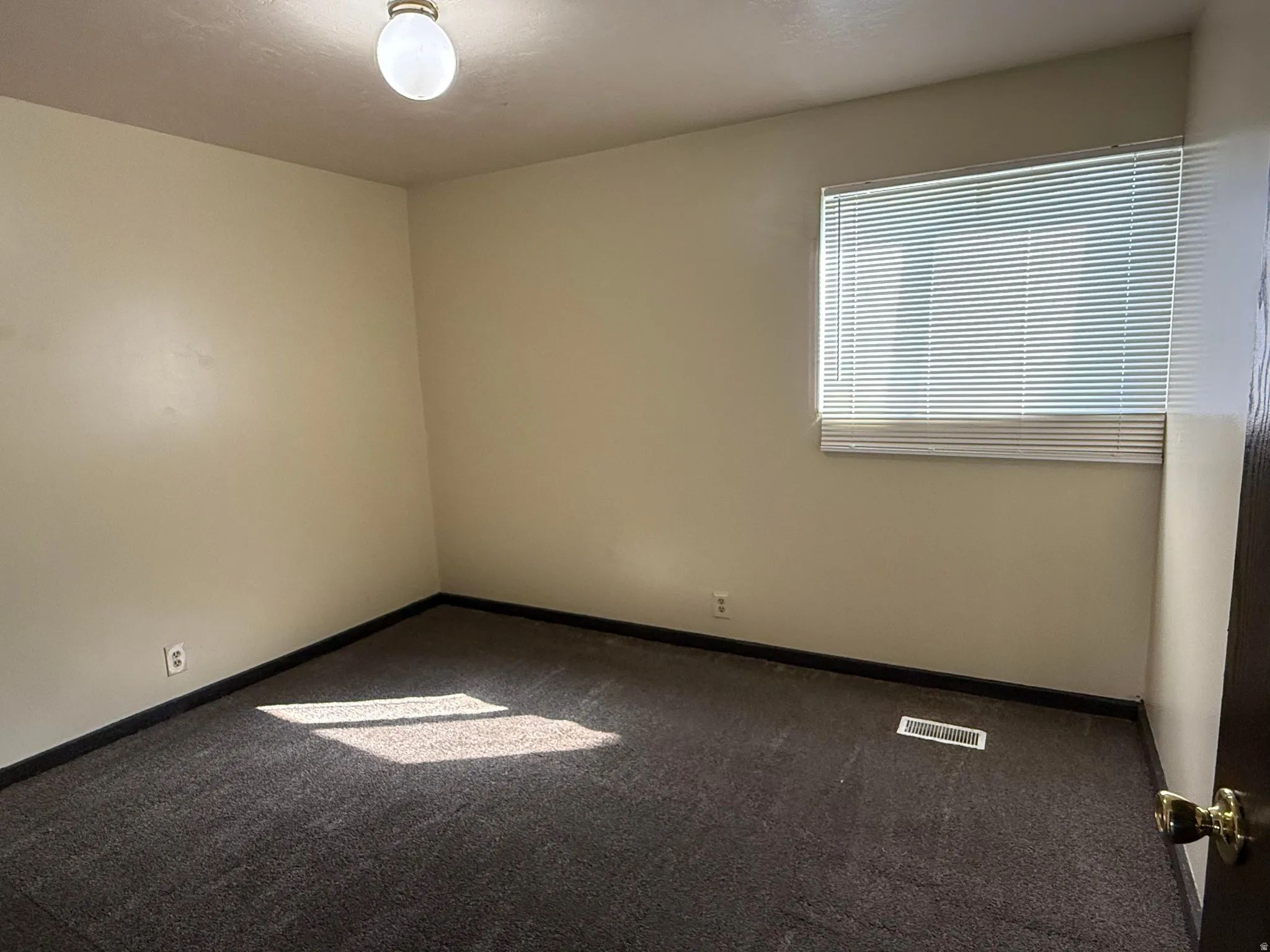 Wall-to-wall dark gray carpet, light beige wall paint, white window blinds, and an overhead globe light fixture