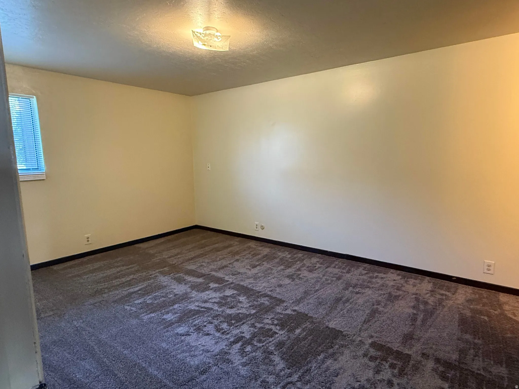Spacious room featuring textured carpeting, neutral wall finishes, a single window with blinds, and a flush-mount ceiling light fixture